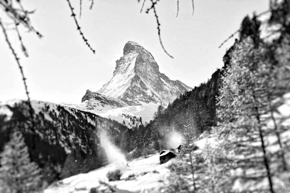 Photographie en niveaux de gris d’un champ et d’une montagne recouverts de neige