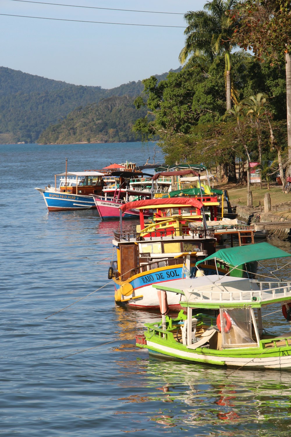 assorted-color boats on shore