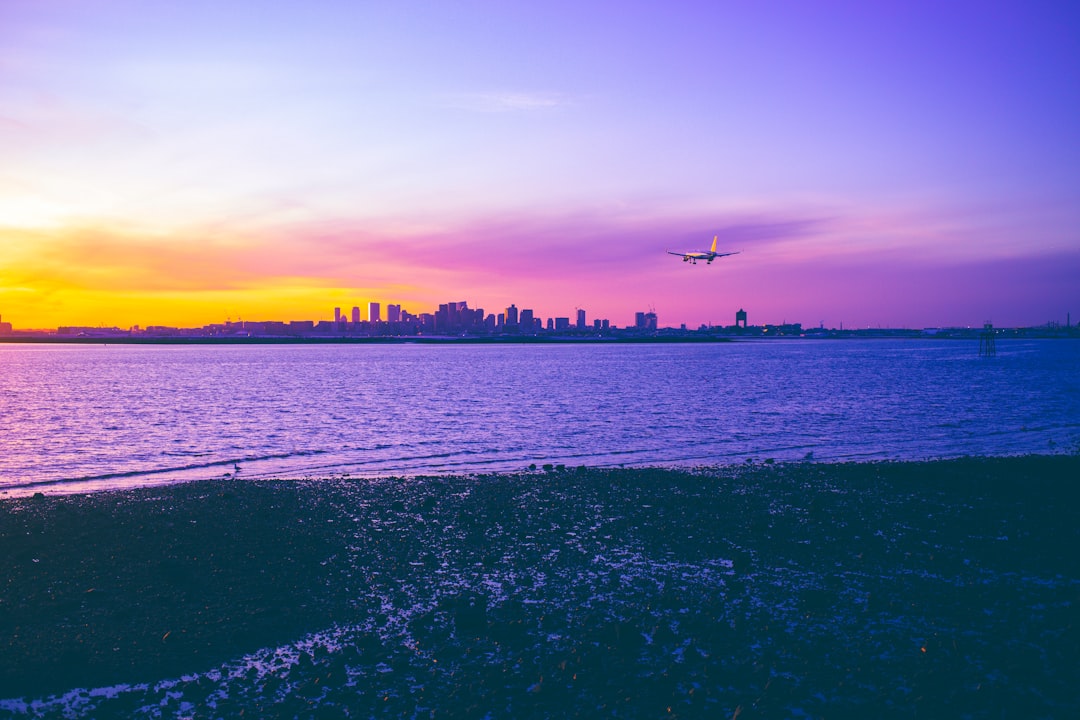 seashore and city during golden hour