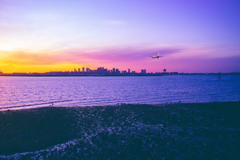 seashore and city during golden hour