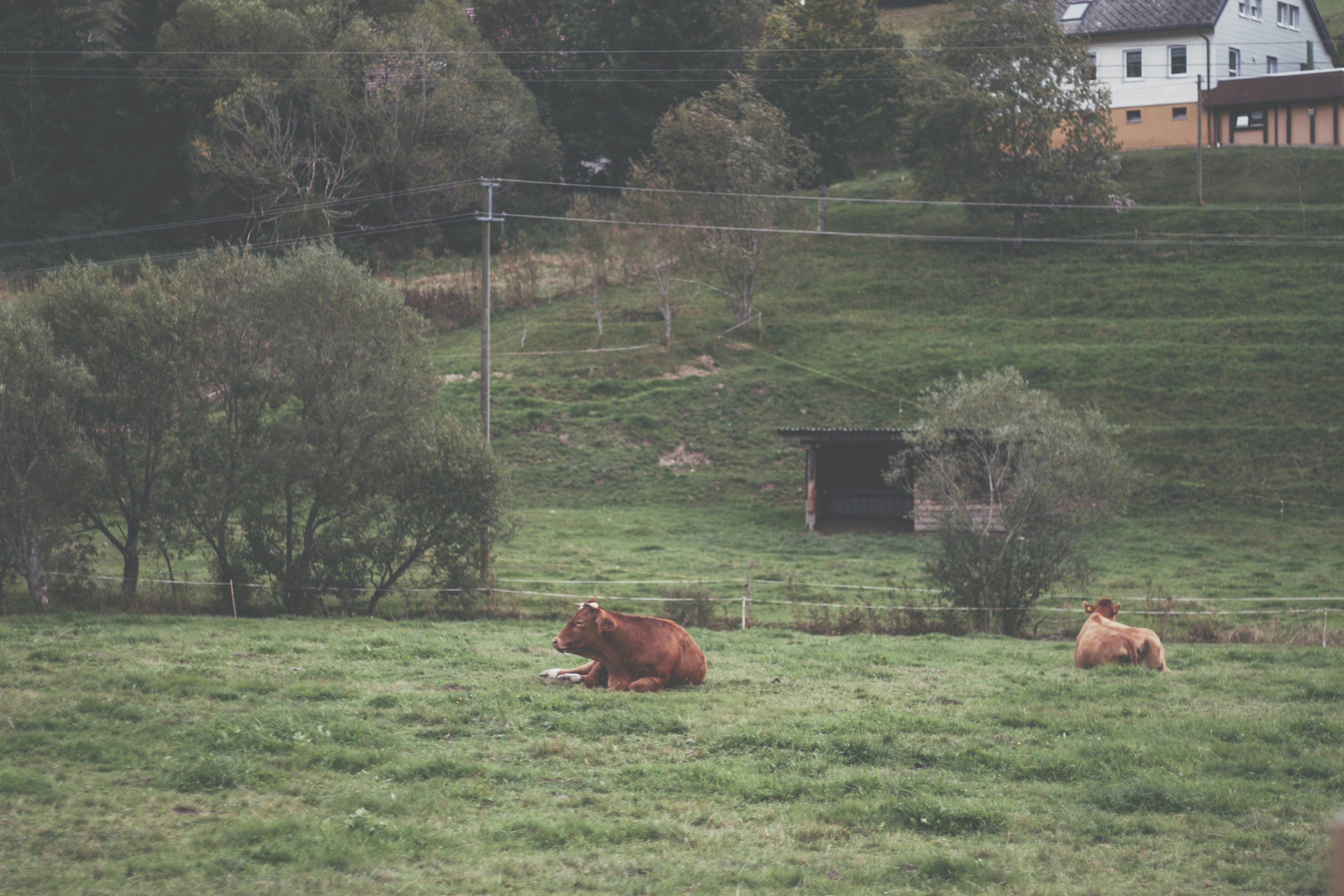 Photo by Gabriela Tamara Cycman on unsplash