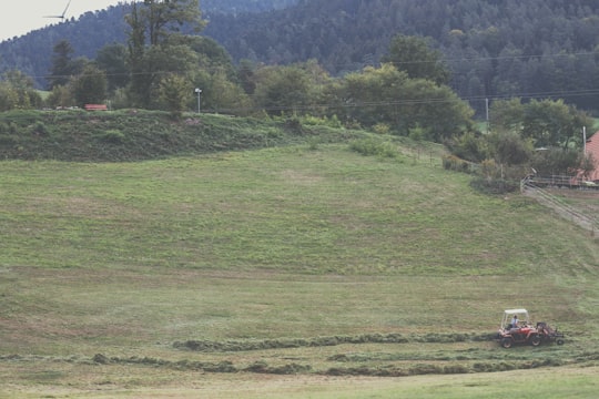 photo of Gutach Plain near Belchen