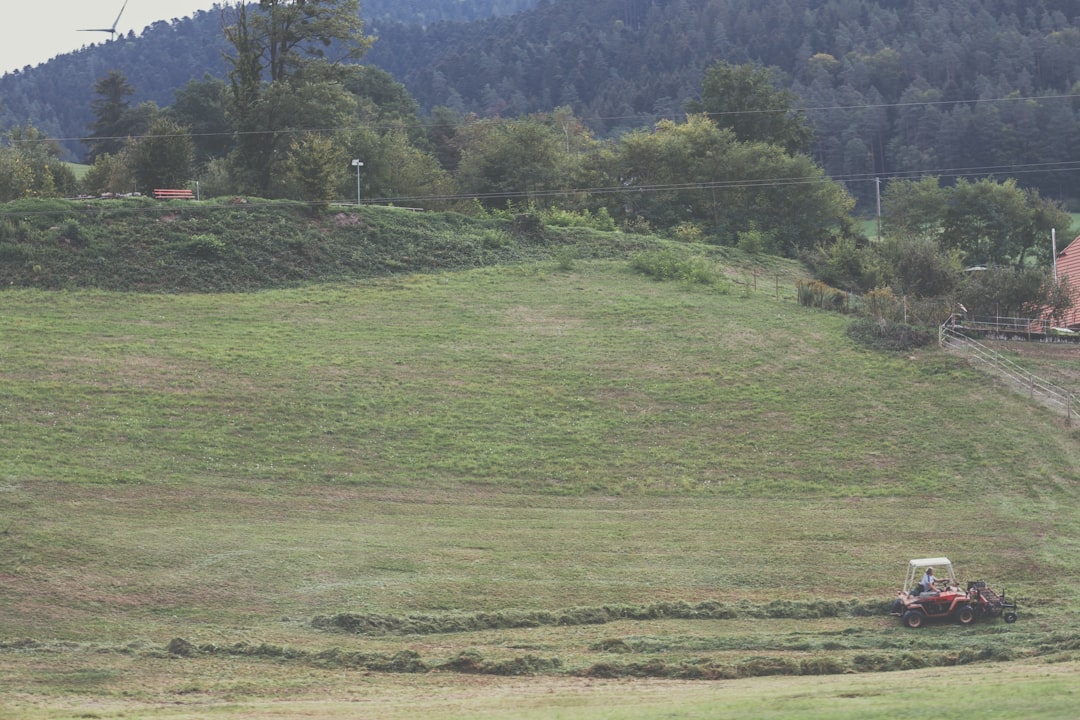 photo of Gutach Plain near Triberg