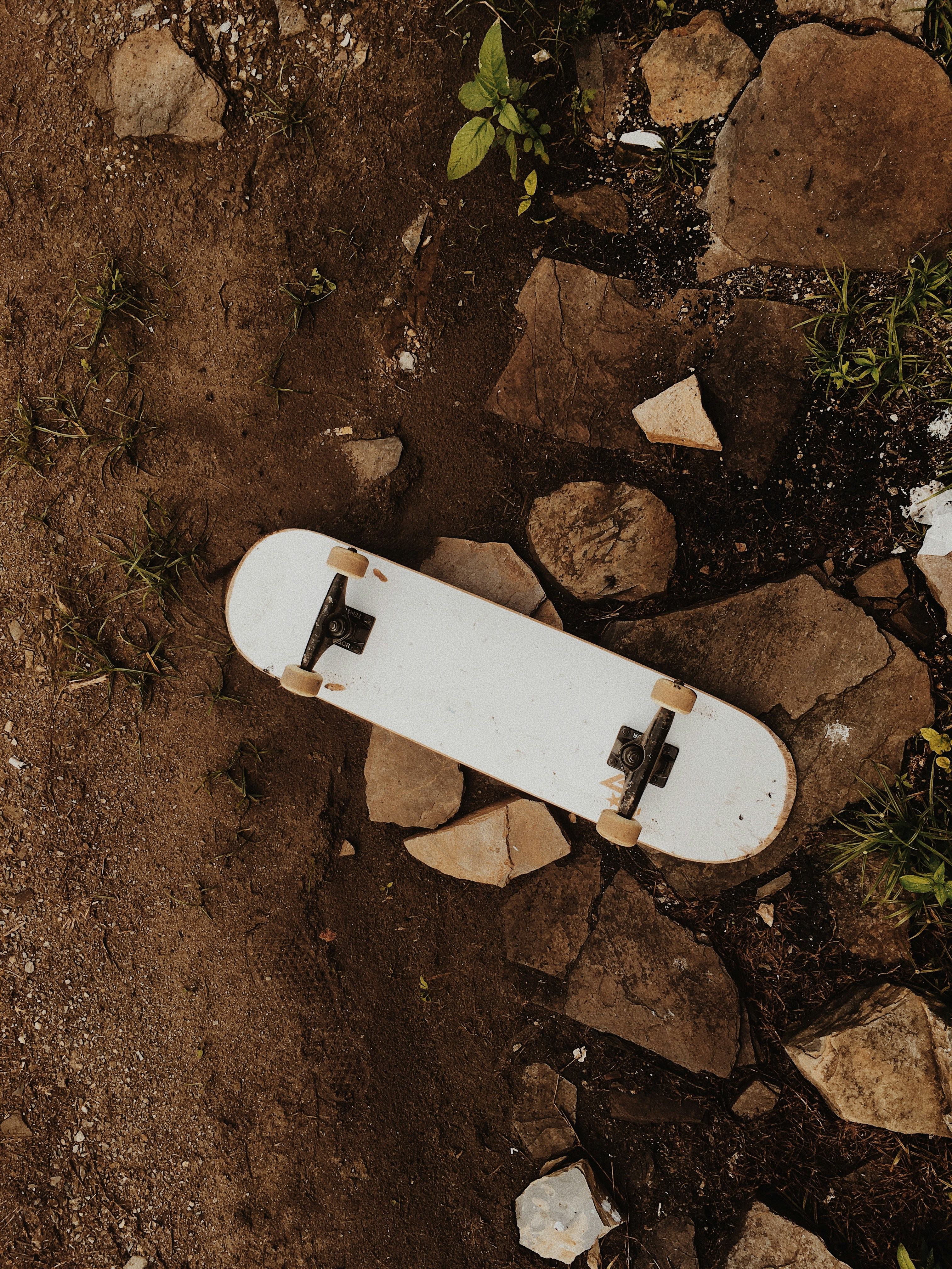 Photo by michaelforest