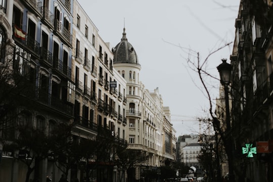 low-angle photograph of a dome cathedral building in Plaza Mayor Spain