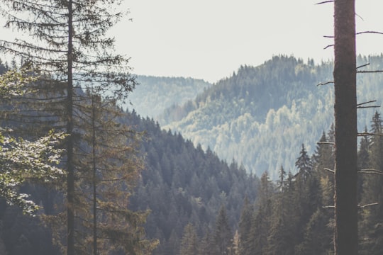 mountain ranges in Black Forest Germany