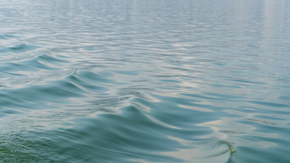 persona en el cuerpo de agua durante el día