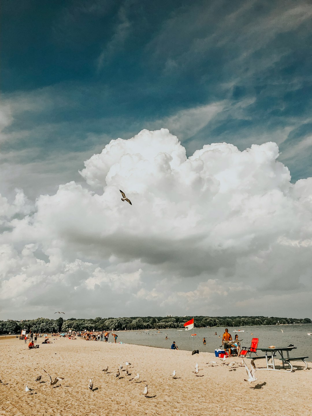 Travel Tips and Stories of Woodbine Beach in Canada