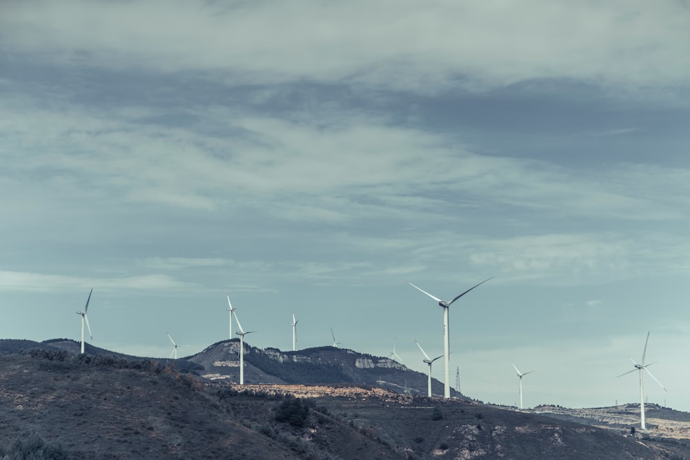 white windmills on field viewing mountain under blue and white sky