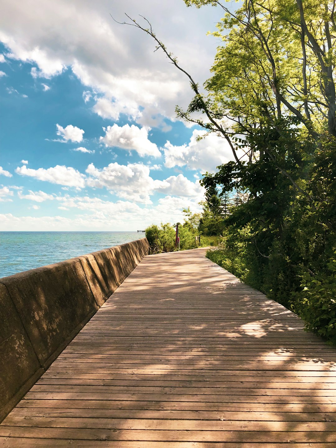 travelers stories about Dock in Toronto Islands, Canada