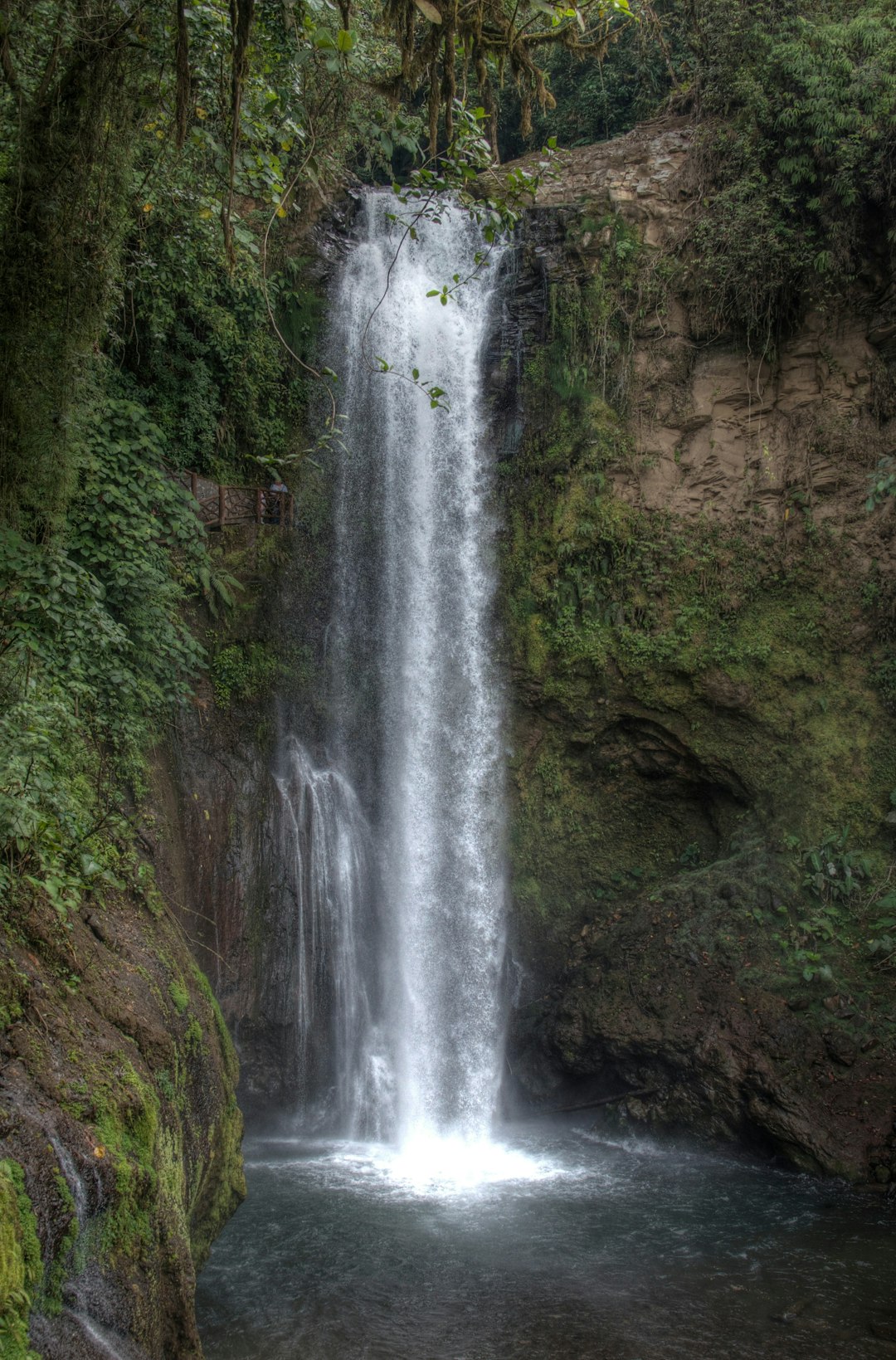 photo of Heredia Province Waterfall near Braulio Carrillo National Park