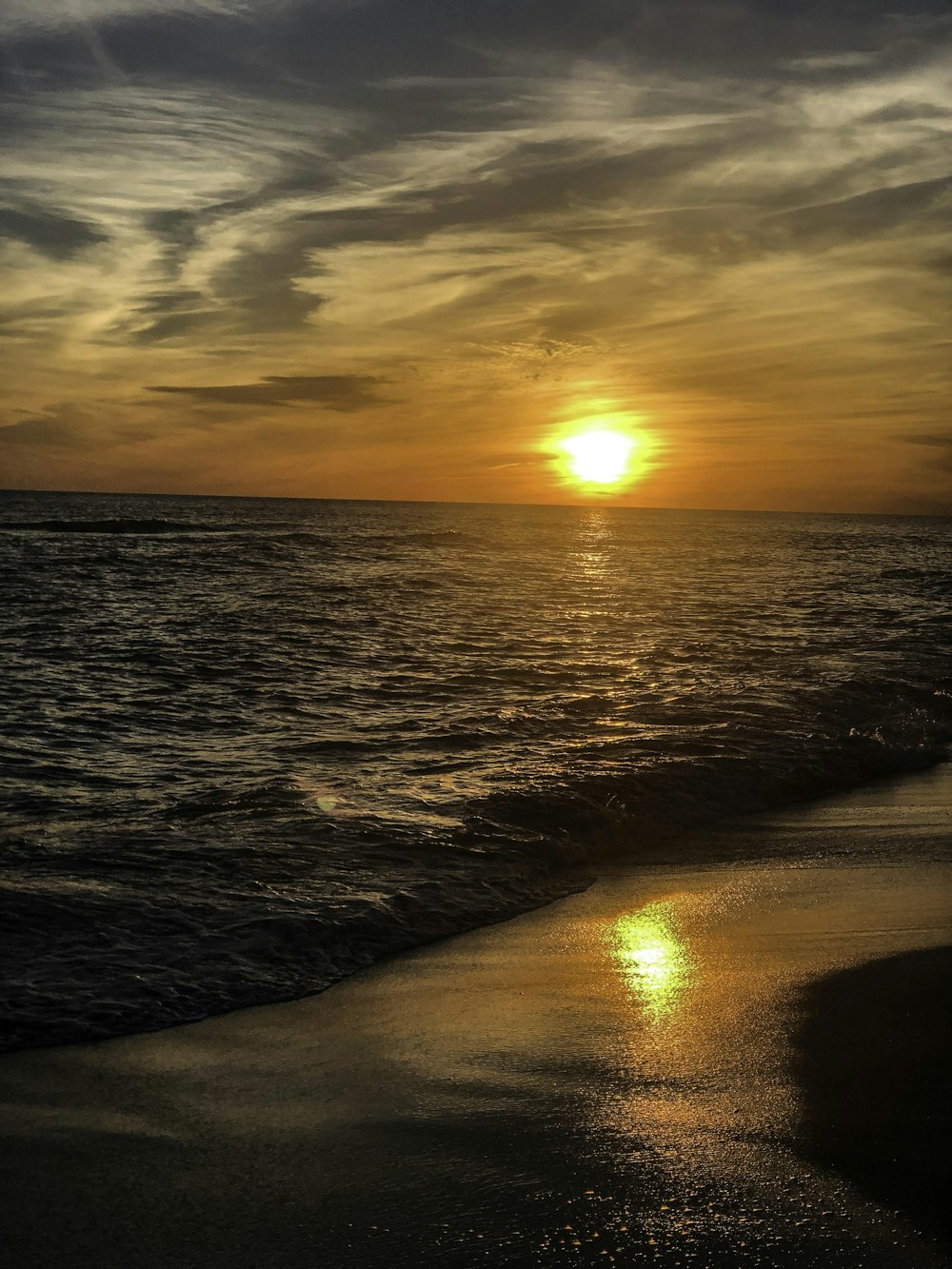 seashore during golden hour