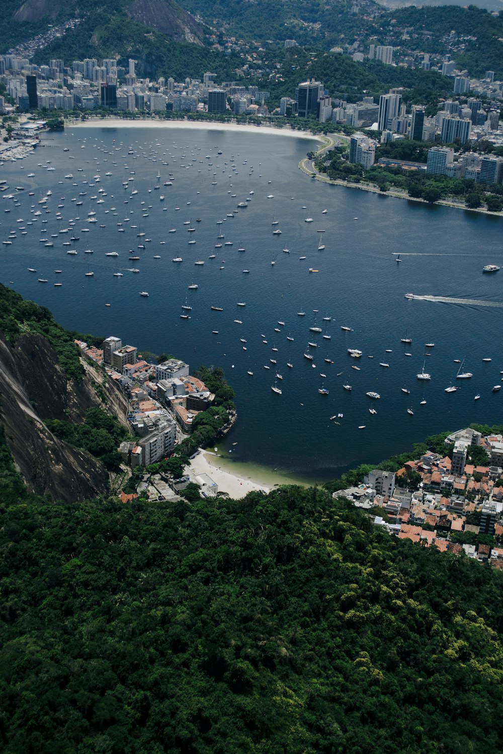 aerial photography of city with high-rise buildings near body of water during daytime