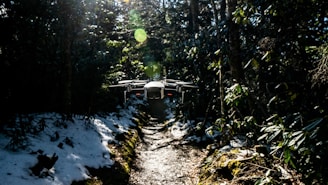 A drone is hovering over a narrow forest path surrounded by dense trees and greenery. Sunlight filters through the foliage, creating bright spots and shadows on the ground. Patches of snow are visible along the path, suggesting a transition from winter to spring.