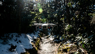 A sleek racing drone zooming low over a sunlit forest trail.