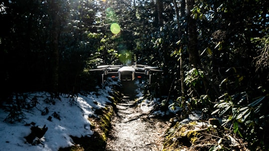 A drone is hovering over a narrow forest path surrounded by dense trees and greenery. Sunlight filters through the foliage, creating bright spots and shadows on the ground. Patches of snow are visible along the path, suggesting a transition from winter to spring.