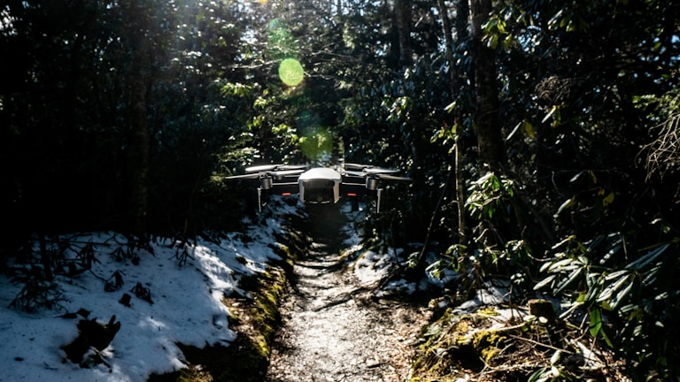 A drone is hovering over a narrow forest path surrounded by dense trees and greenery. Sunlight filters through the foliage, creating bright spots and shadows on the ground. Patches of snow are visible along the path, suggesting a transition from winter to spring.