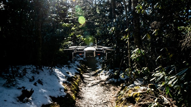 A drone is hovering over a narrow forest path surrounded by dense trees and greenery. Sunlight filters through the foliage, creating bright spots and shadows on the ground. Patches of snow are visible along the path, suggesting a transition from winter to spring.