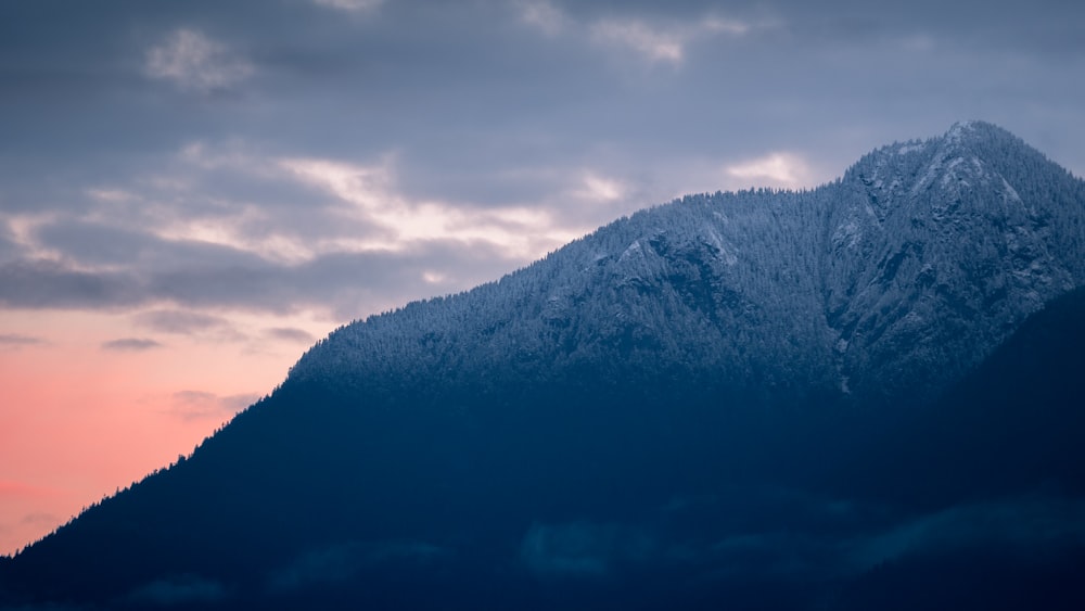 tree covered mountain during golden hour