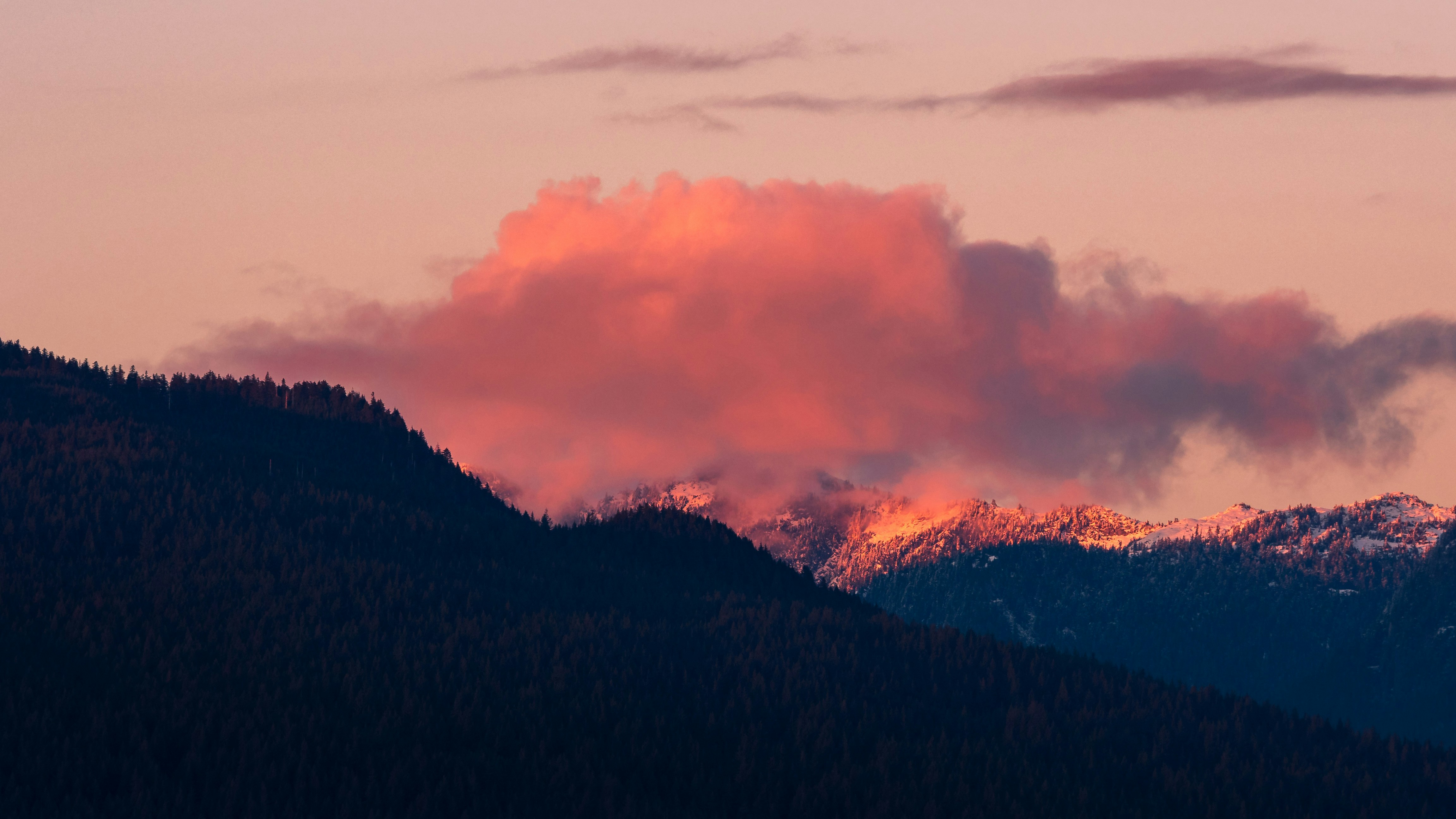 forest covered mountain during golden hour