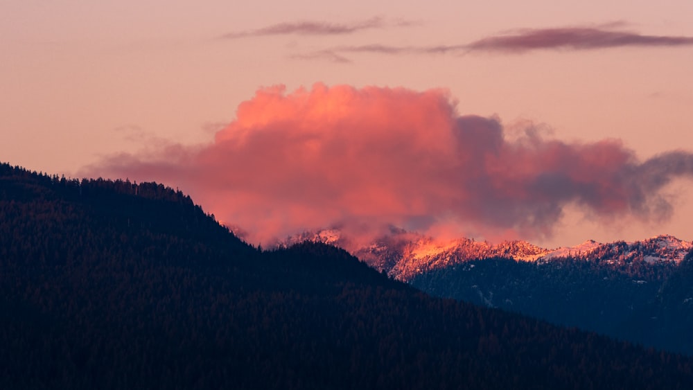 montagne couverte de forêt pendant l’heure dorée