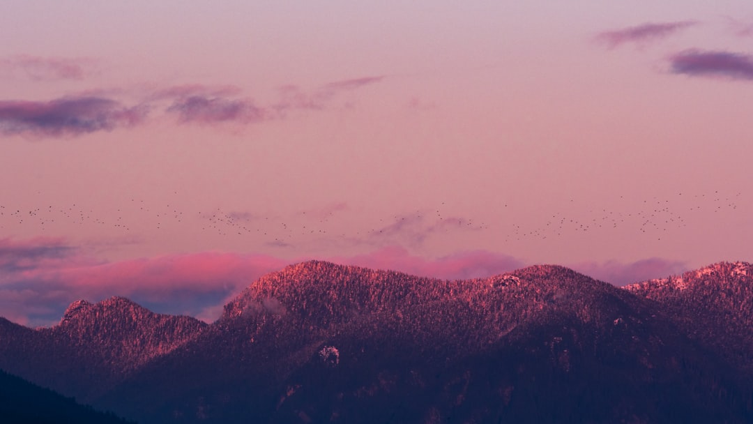 Hill station photo spot Vancouver Mount Tantalus