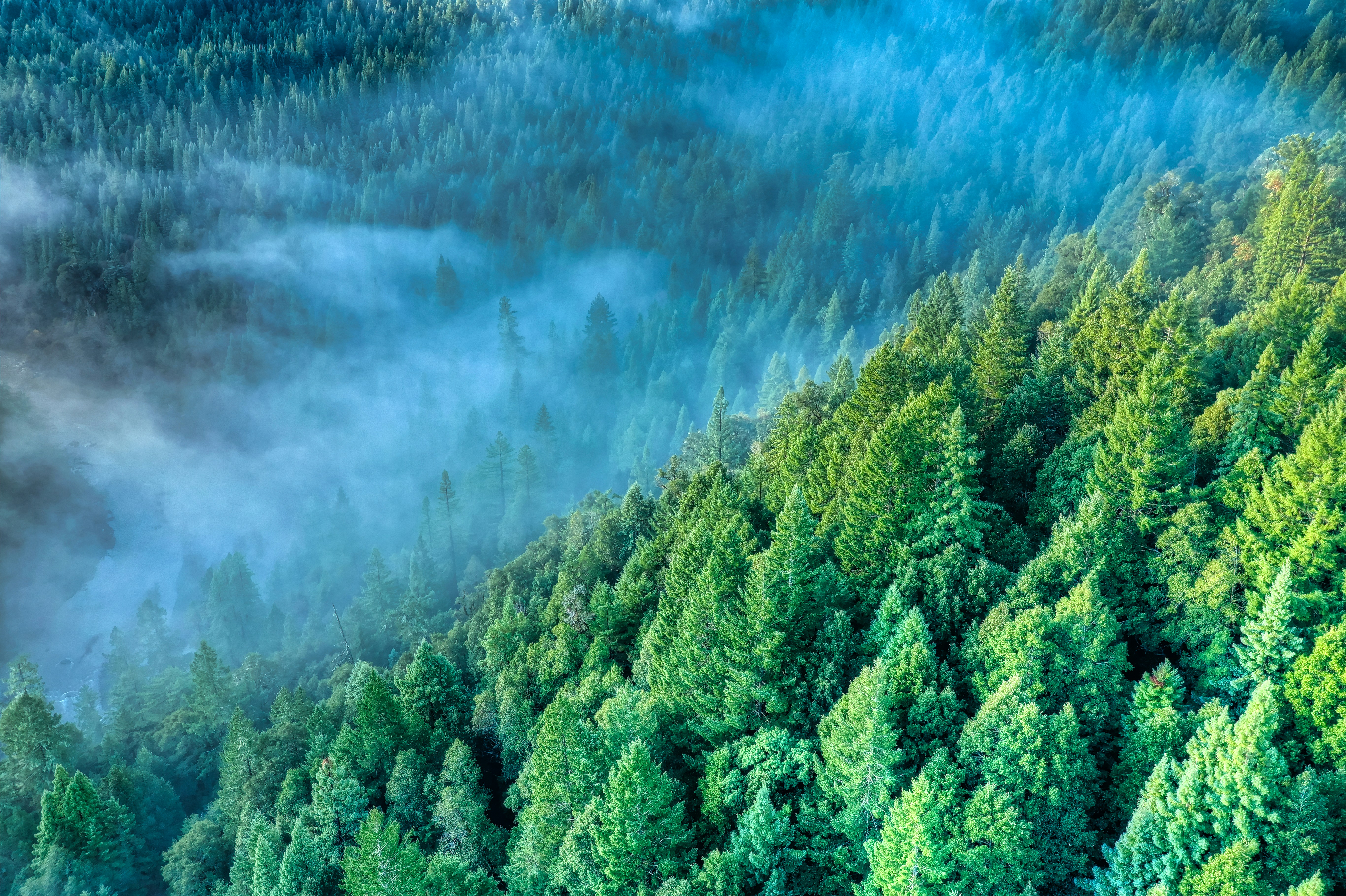 Conclusion: The Breath of Life in Our Hands (image credits: unsplash)