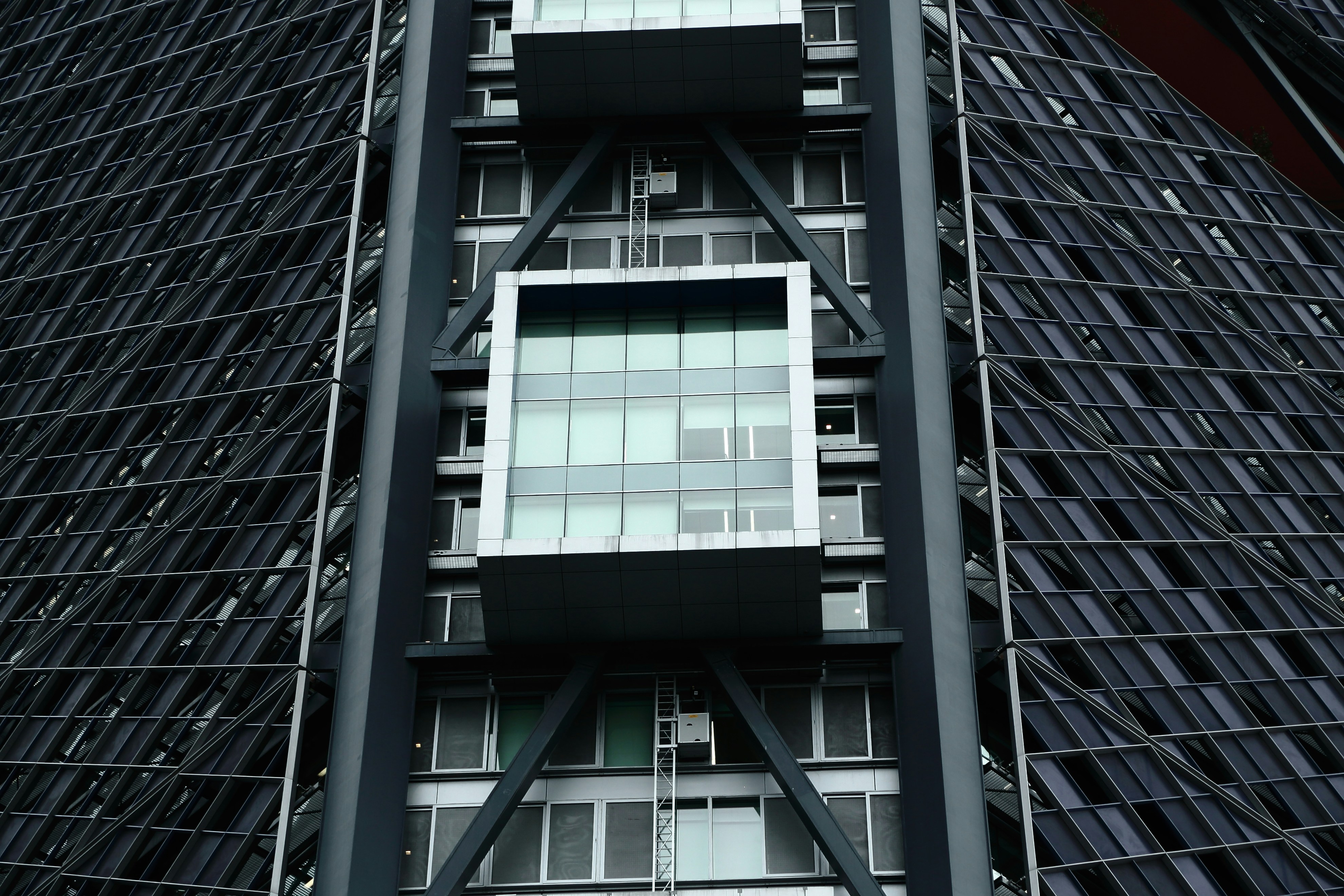 Photo by eduardocanophotoco