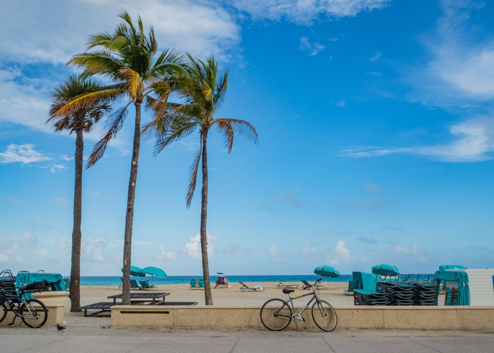 bikes parked on concrete rail at shore during daytime