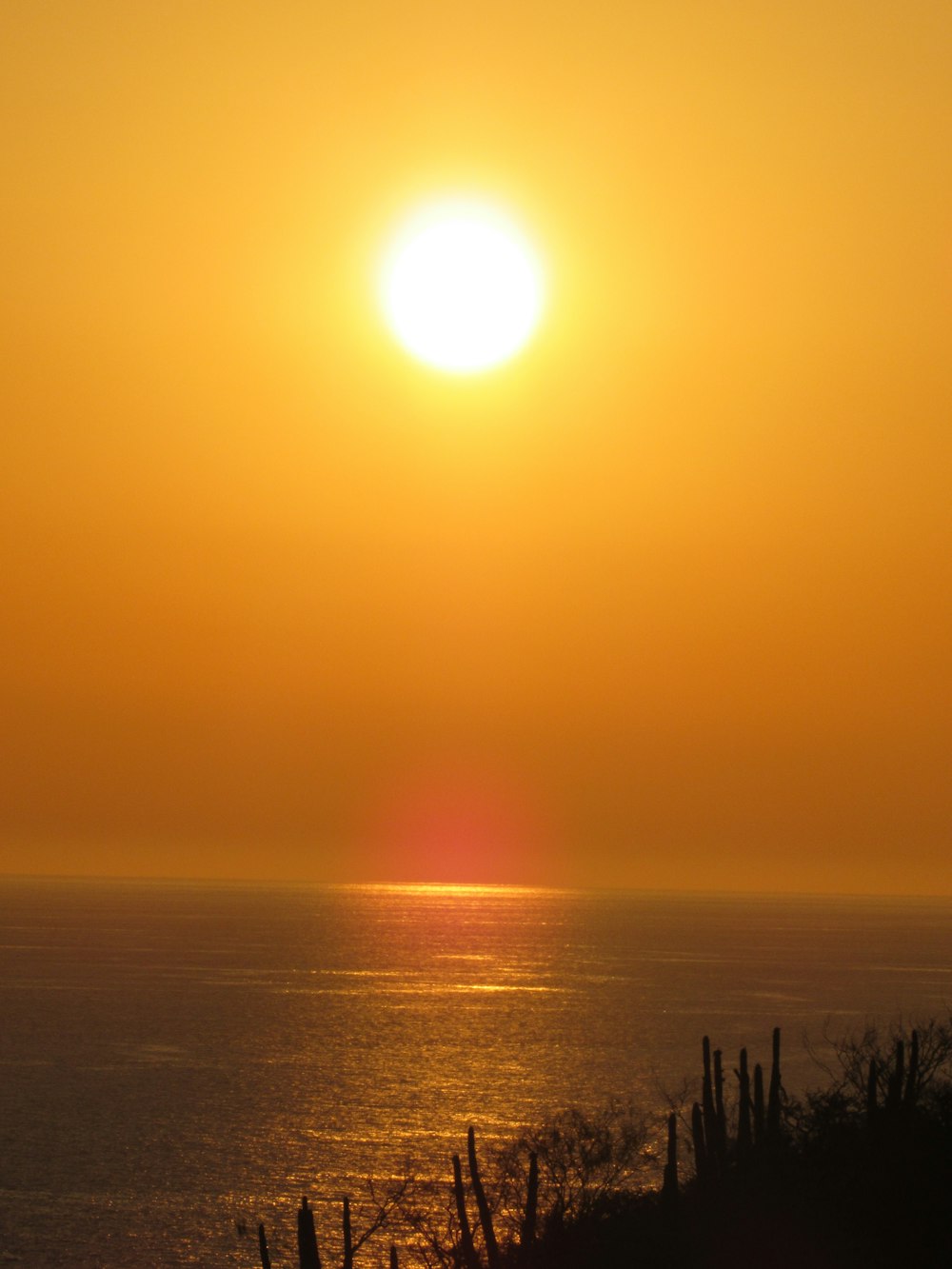 calm sea water during golden hour