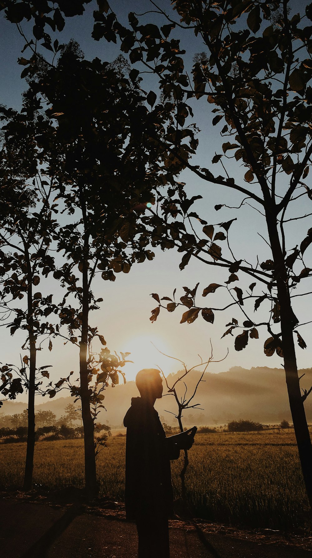 silhouette dell'uomo dagli alberi durante l'ora d'oro