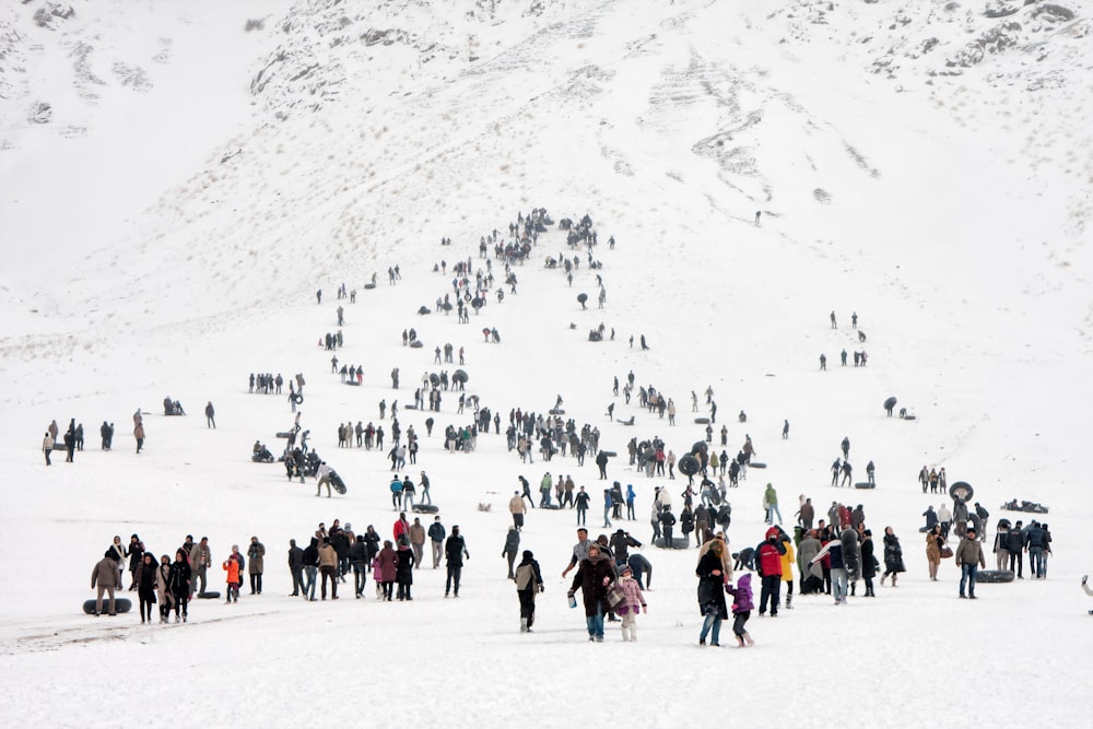 crowd of people on snow field at mountain slope