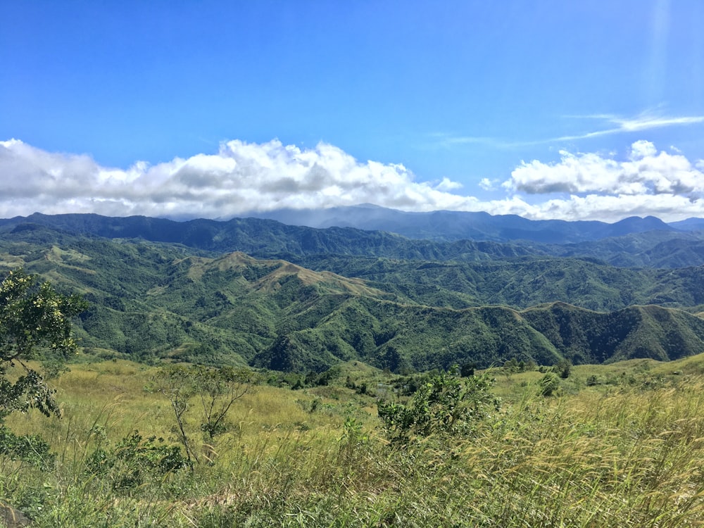 view of green grass mountains during daytime