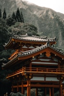 brown and white pagoda temple