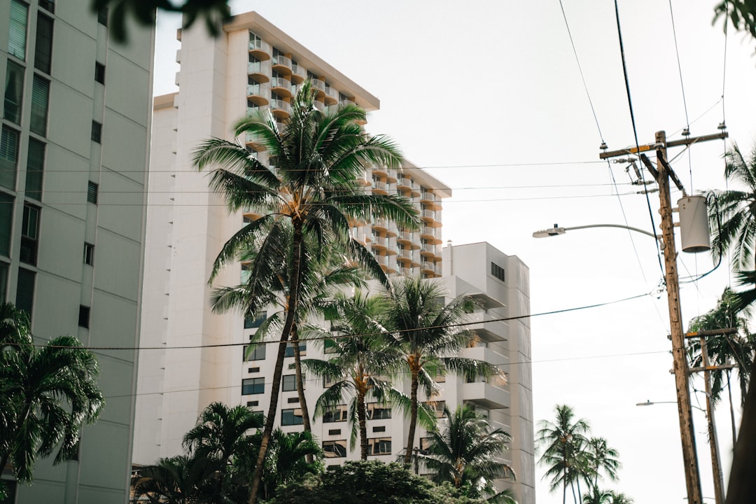 coconut trees by building during daytime,