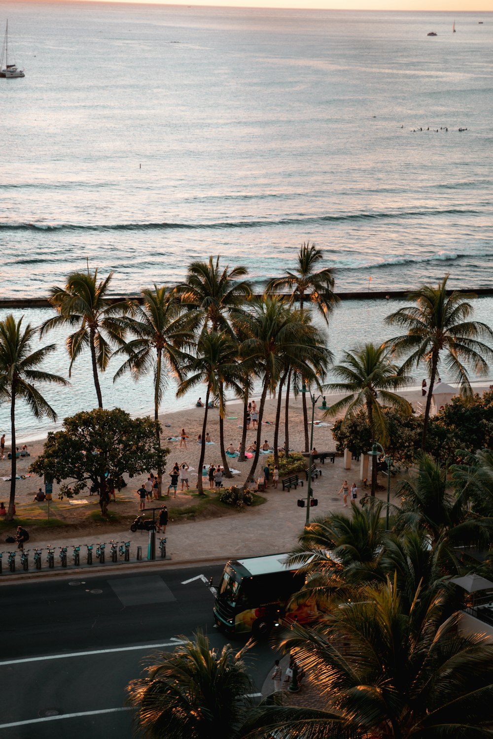 people on shore by coconut trees at daytime