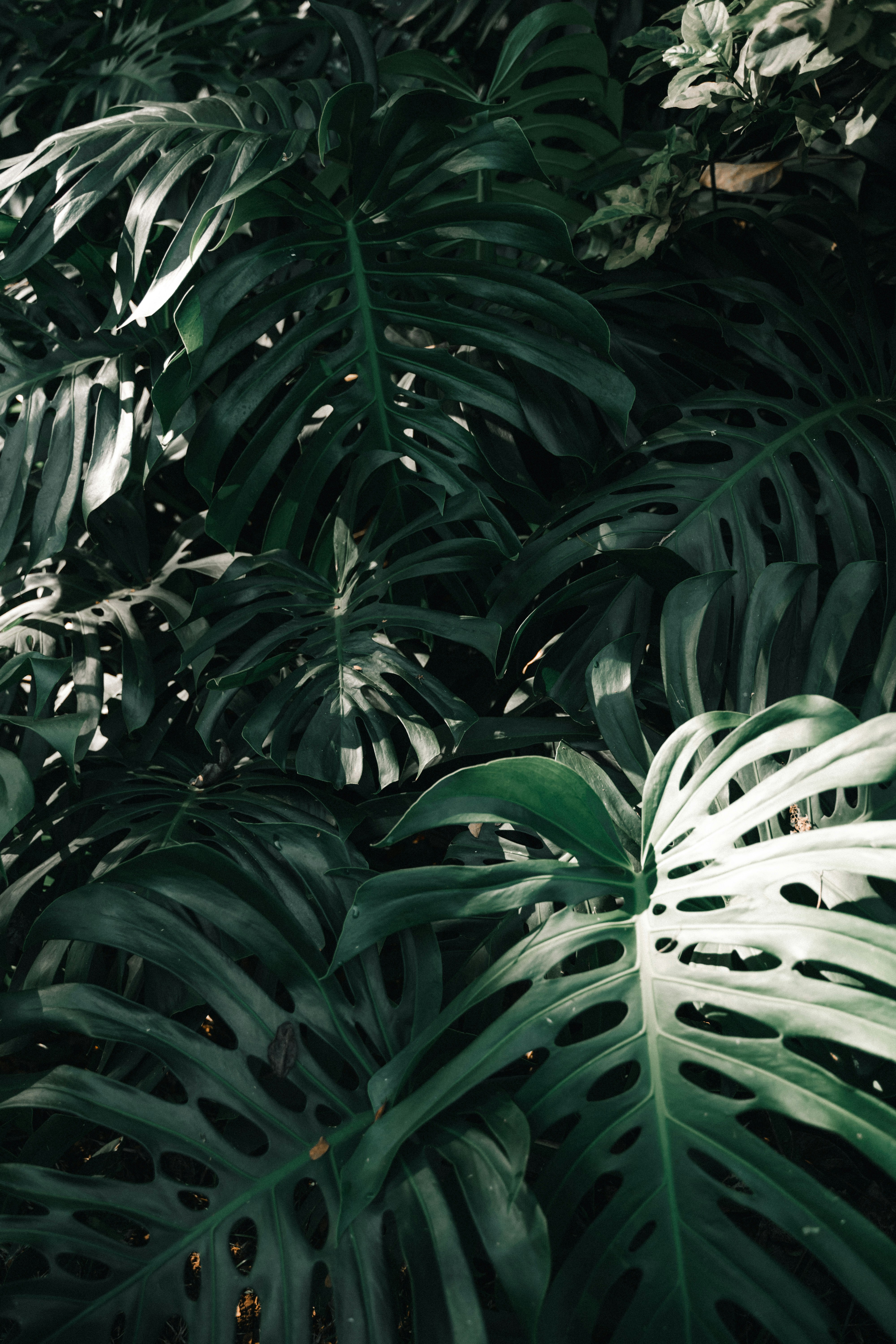 Photo by angelabaileyy