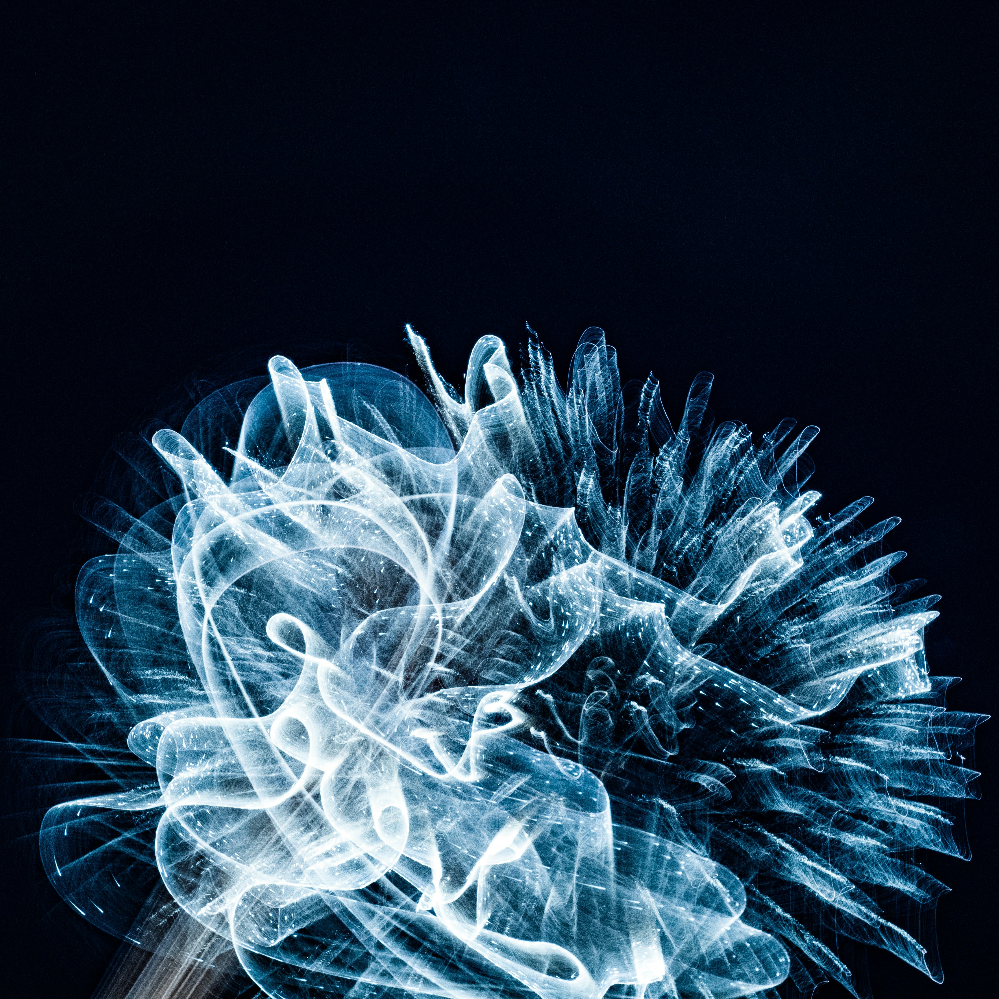 white light illustration