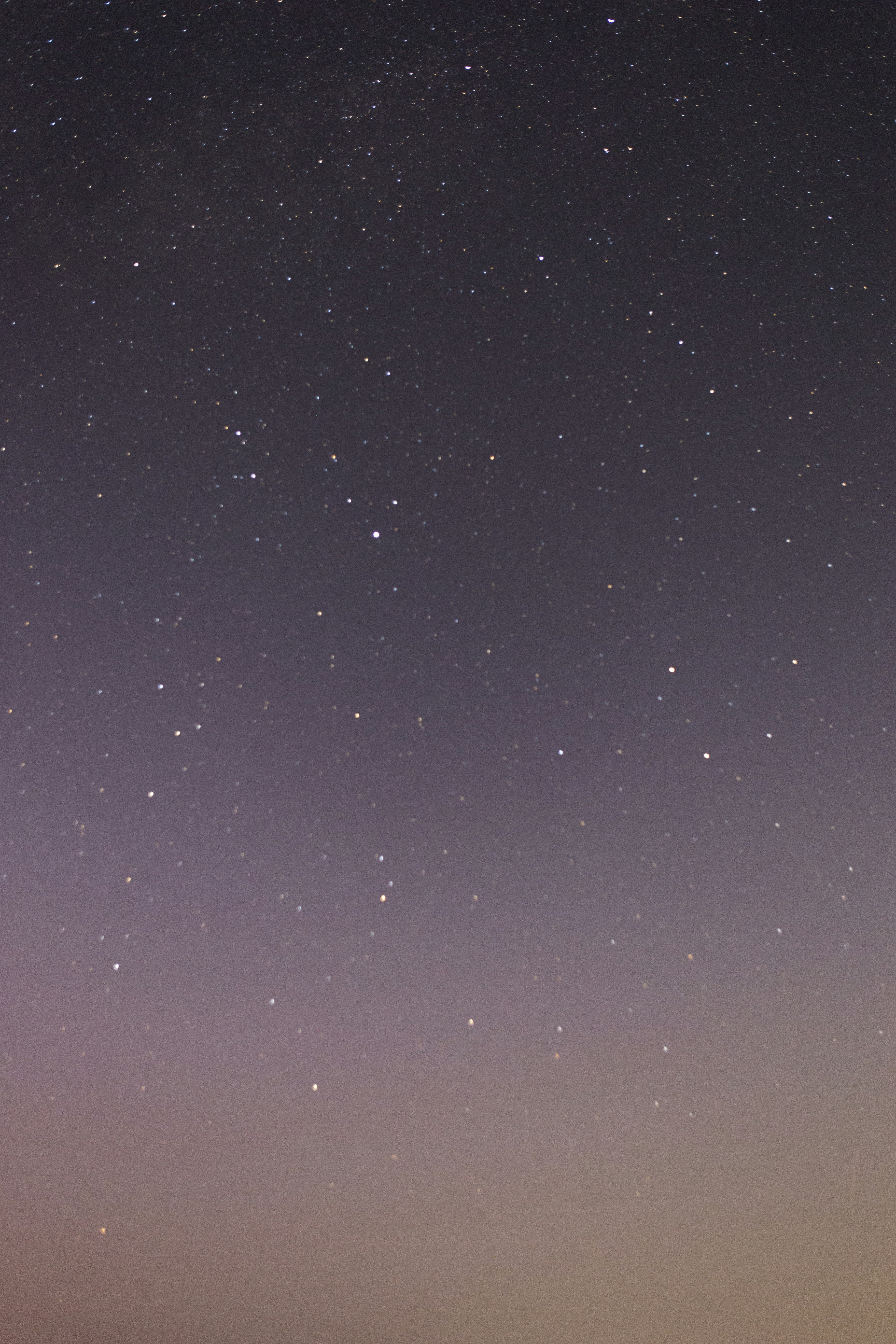 Photo by vinomamba24