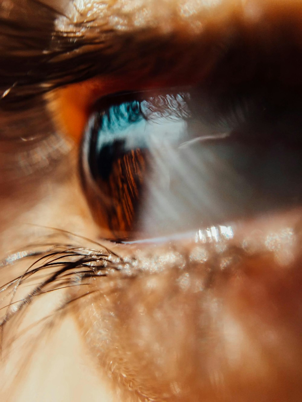 closeup photography of person's eye