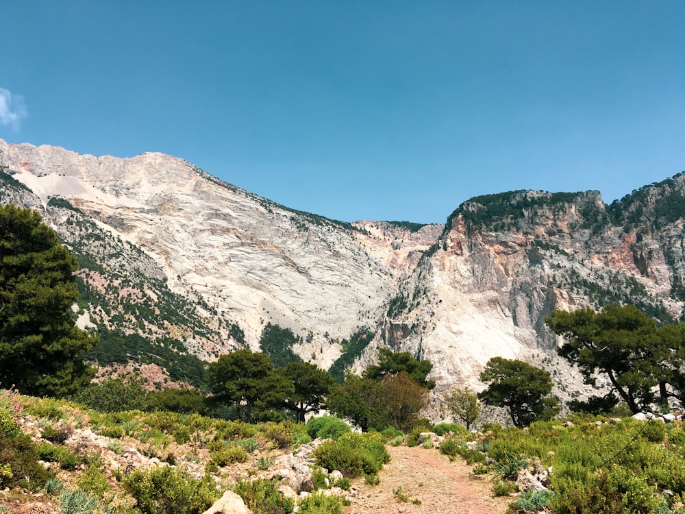 white mountain with trees during daytime