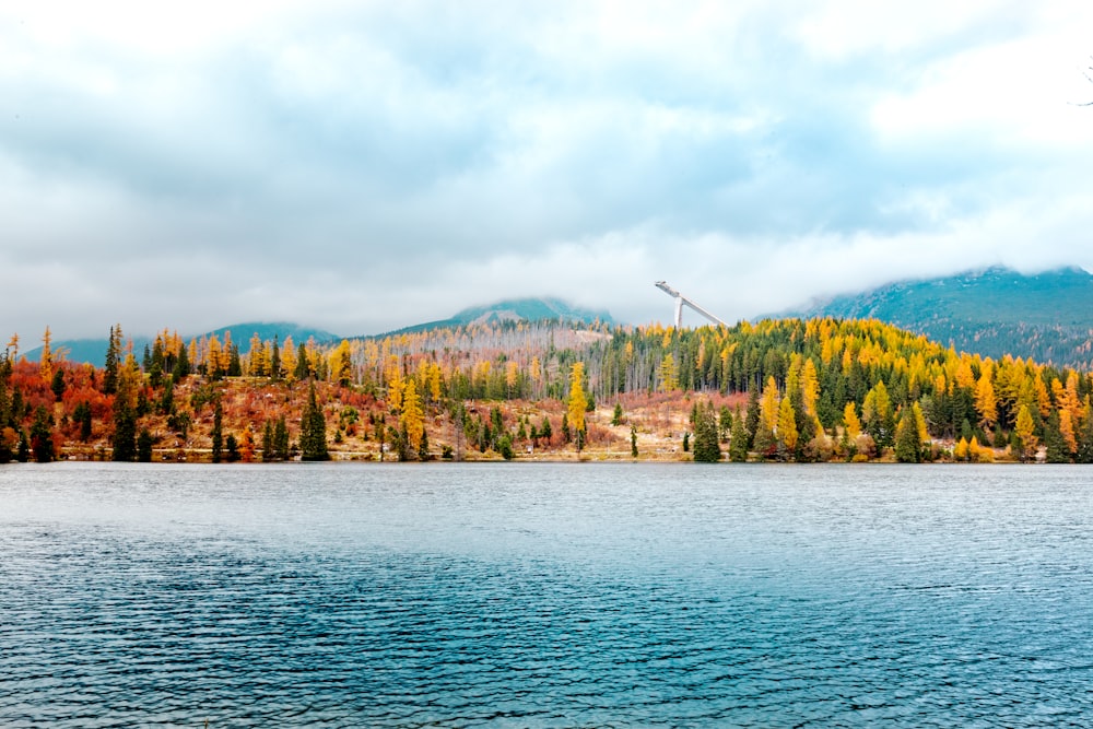 body of water surrounded with trees