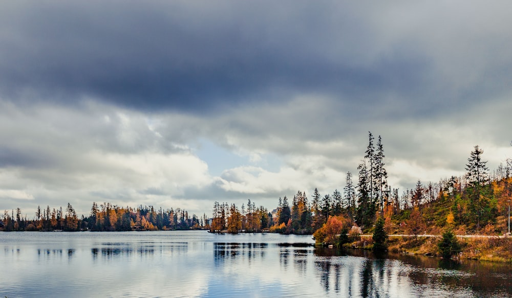 calm body of water by trees under thick cloud formation during daytime