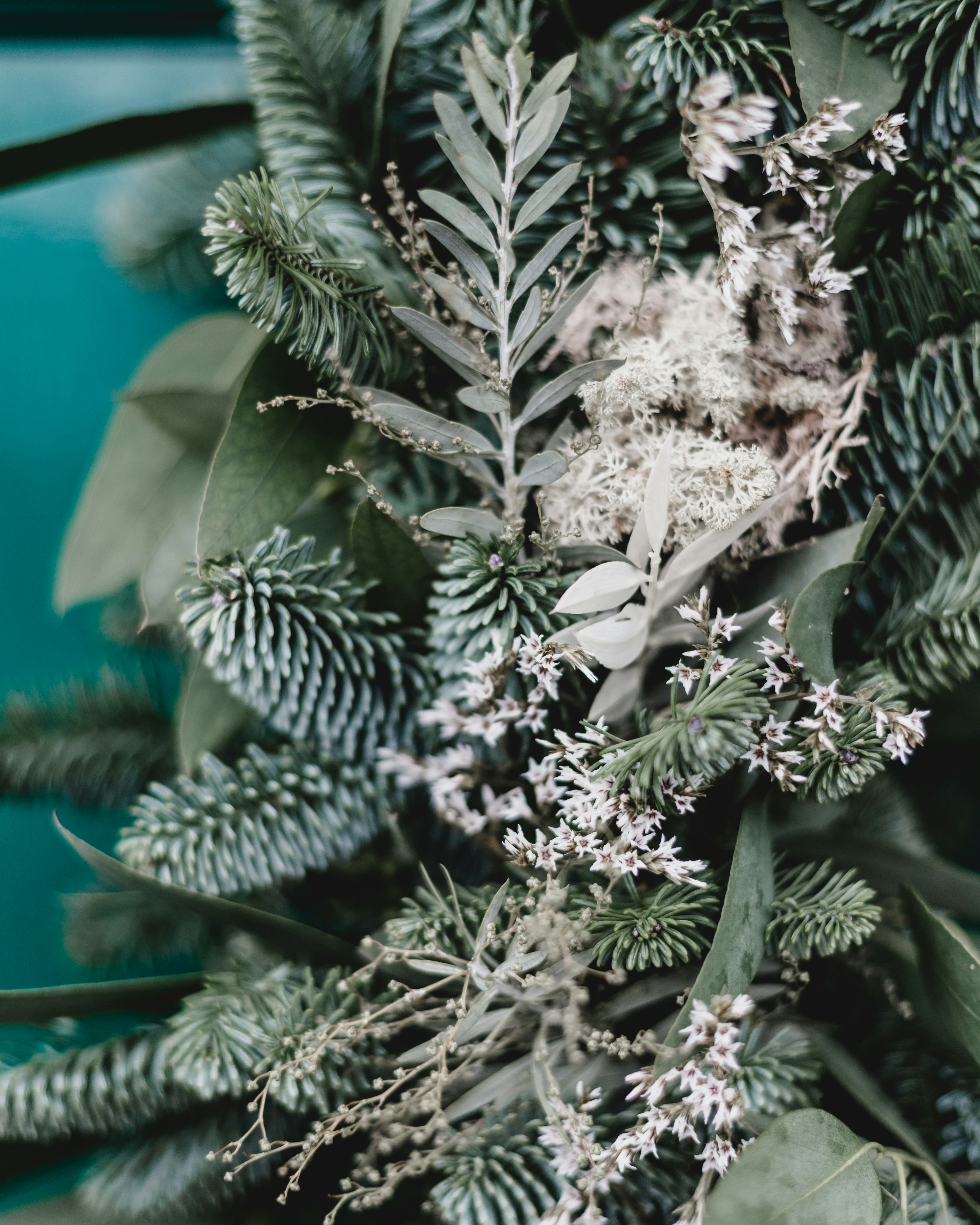 Photo by georgiadelotz