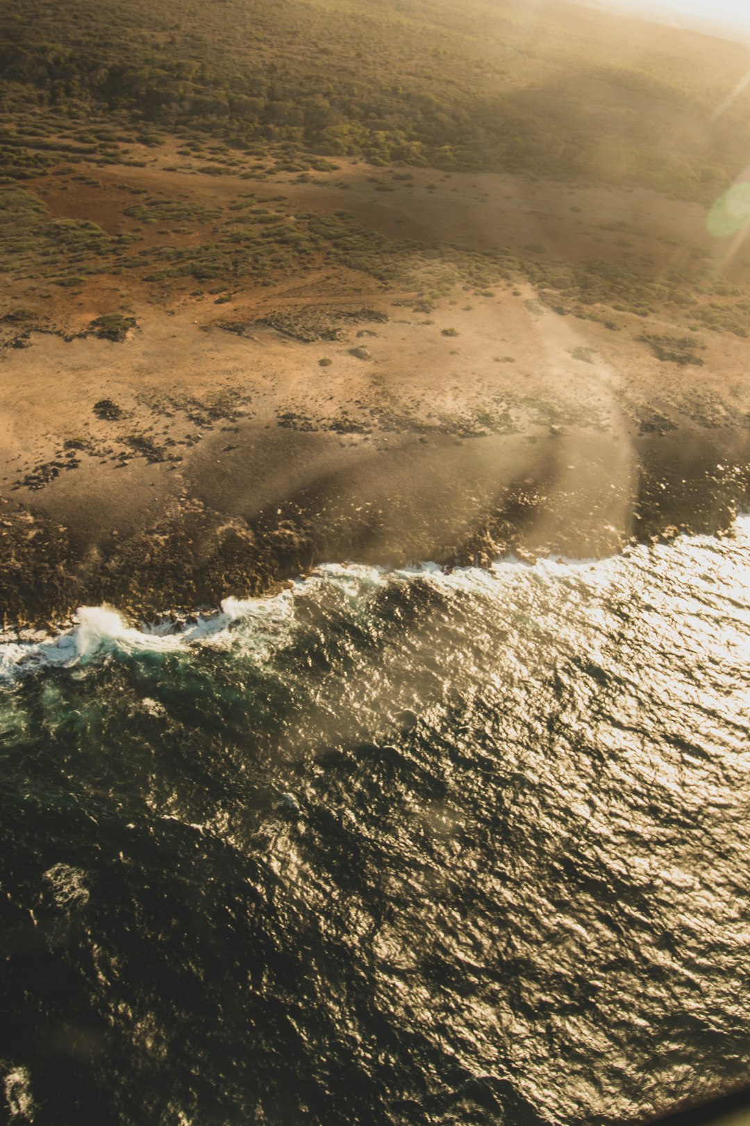 aerial view of seashore during daytime