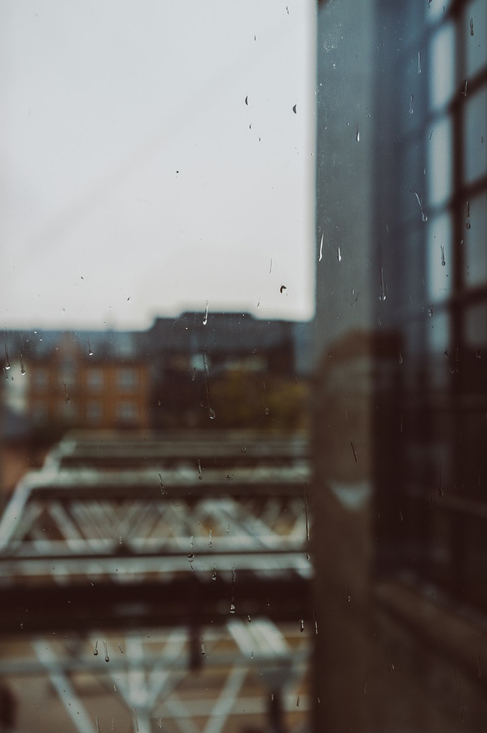 macro photography of glass windshield