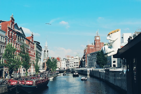 view photography of lake between building during daytime in Singel Netherlands