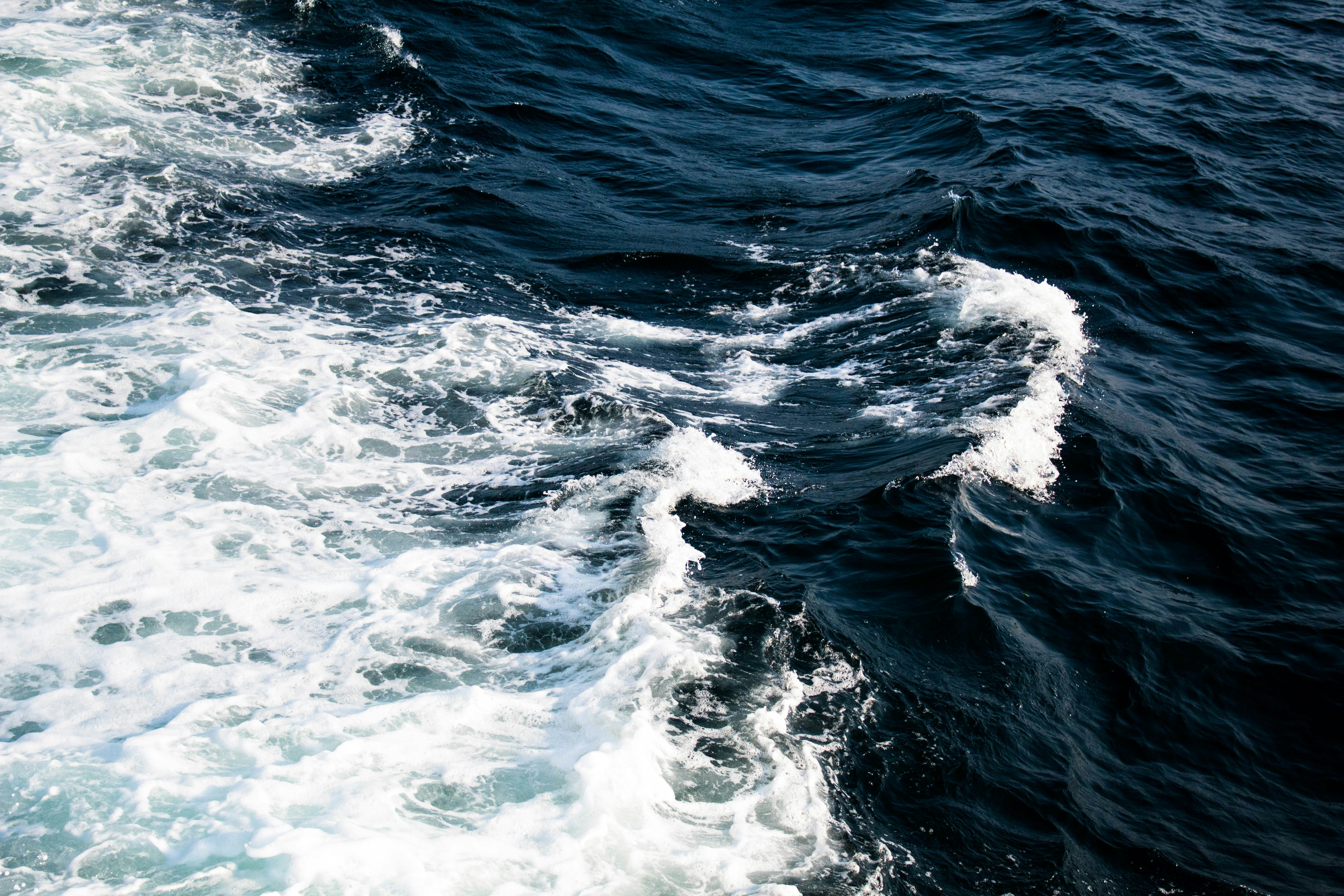 Photo by sapiophileme