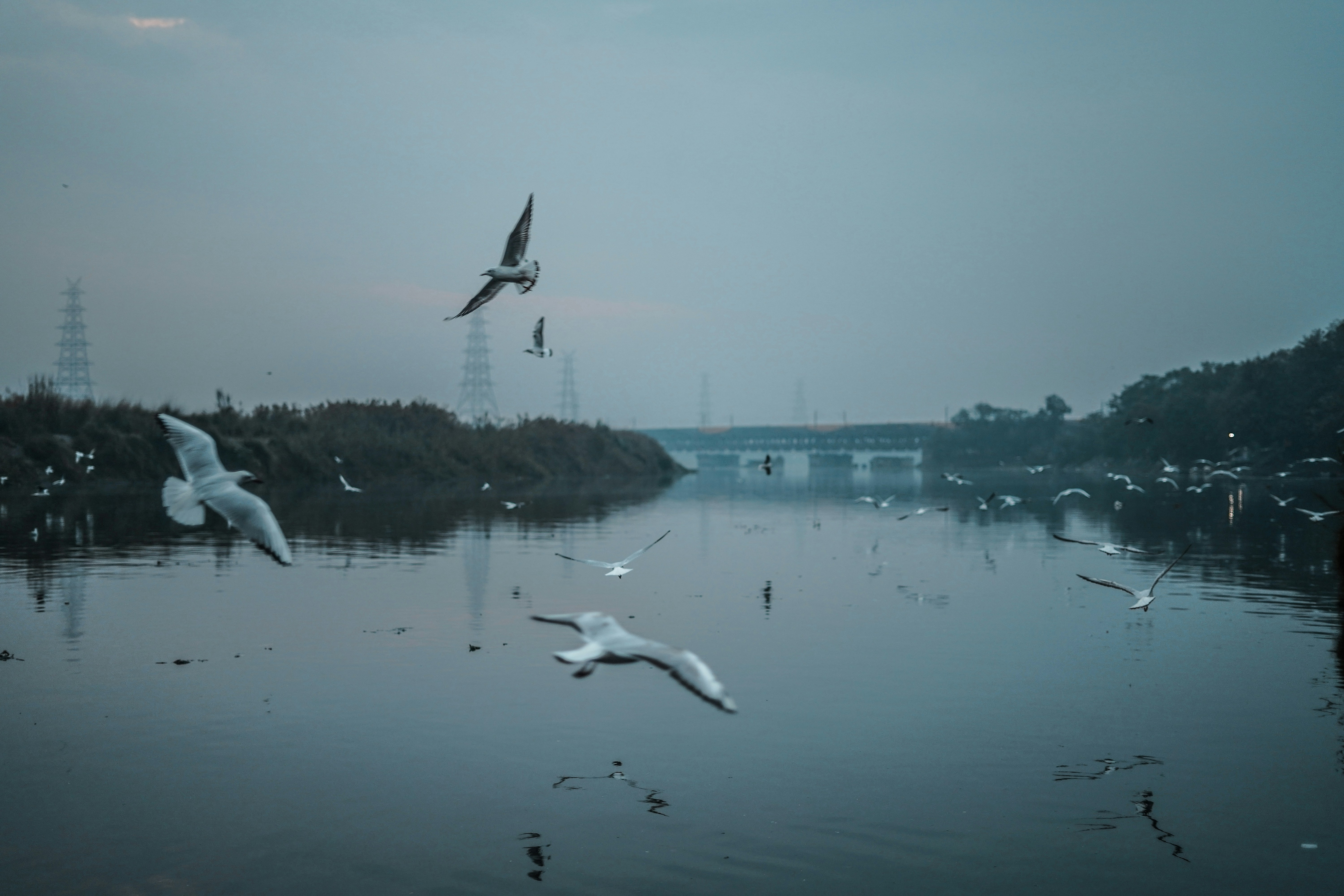 Photo by yogendras31