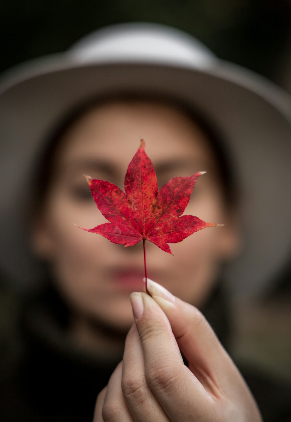 woman holding red leaf